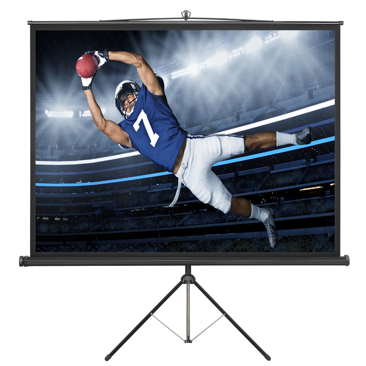 Projection Screen Large