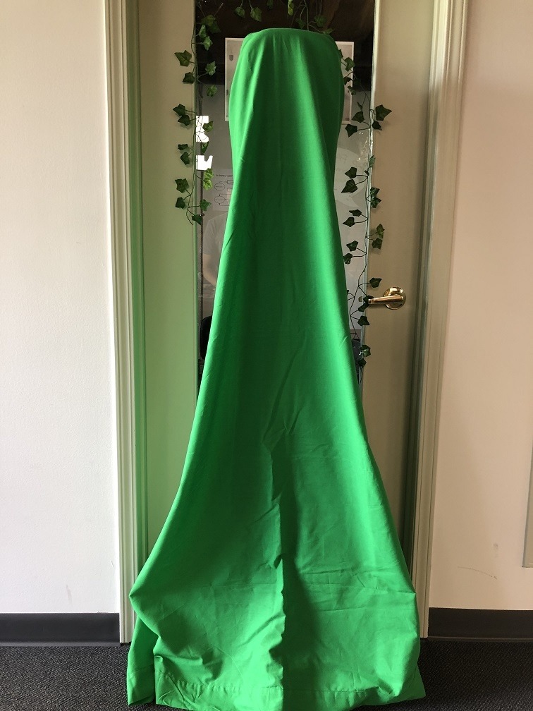 Front Halloween Projection Prop