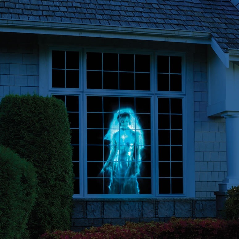 halloween projector rental window